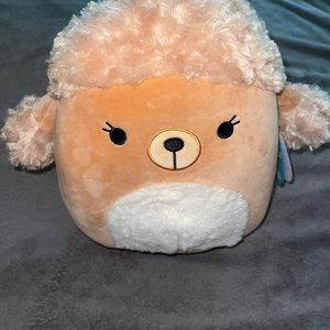 Jacinda the Poodle Squishmallow